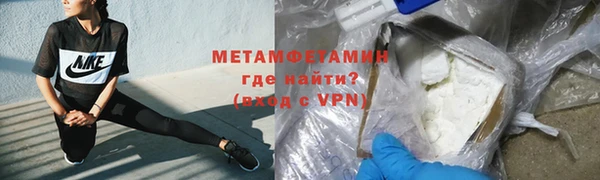 ПСИЛОЦИБИНОВЫЕ ГРИБЫ Богданович