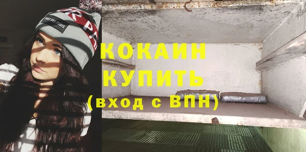 ПСИЛОЦИБИНОВЫЕ ГРИБЫ Богданович