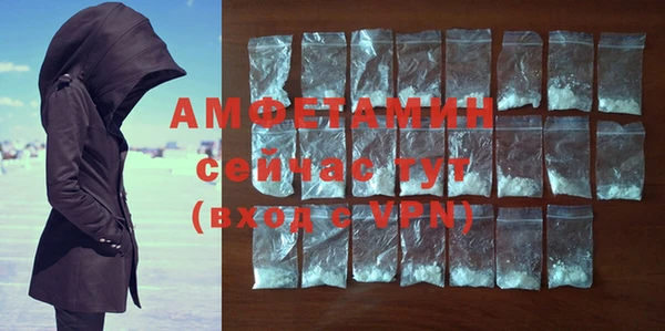 ПСИЛОЦИБИНОВЫЕ ГРИБЫ Богданович