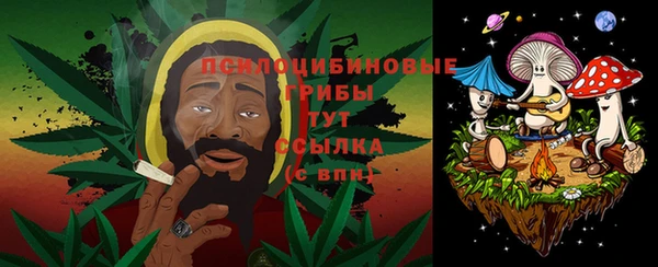 не бодяженный Богородицк