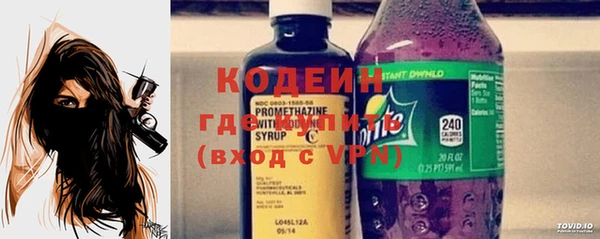 ПСИЛОЦИБИНОВЫЕ ГРИБЫ Богданович
